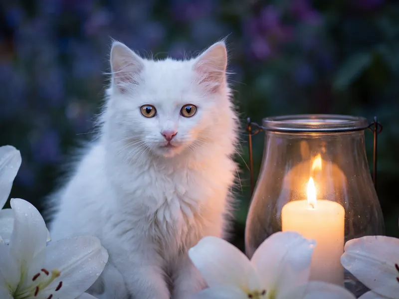 Lily Garden Candlelight Tribute