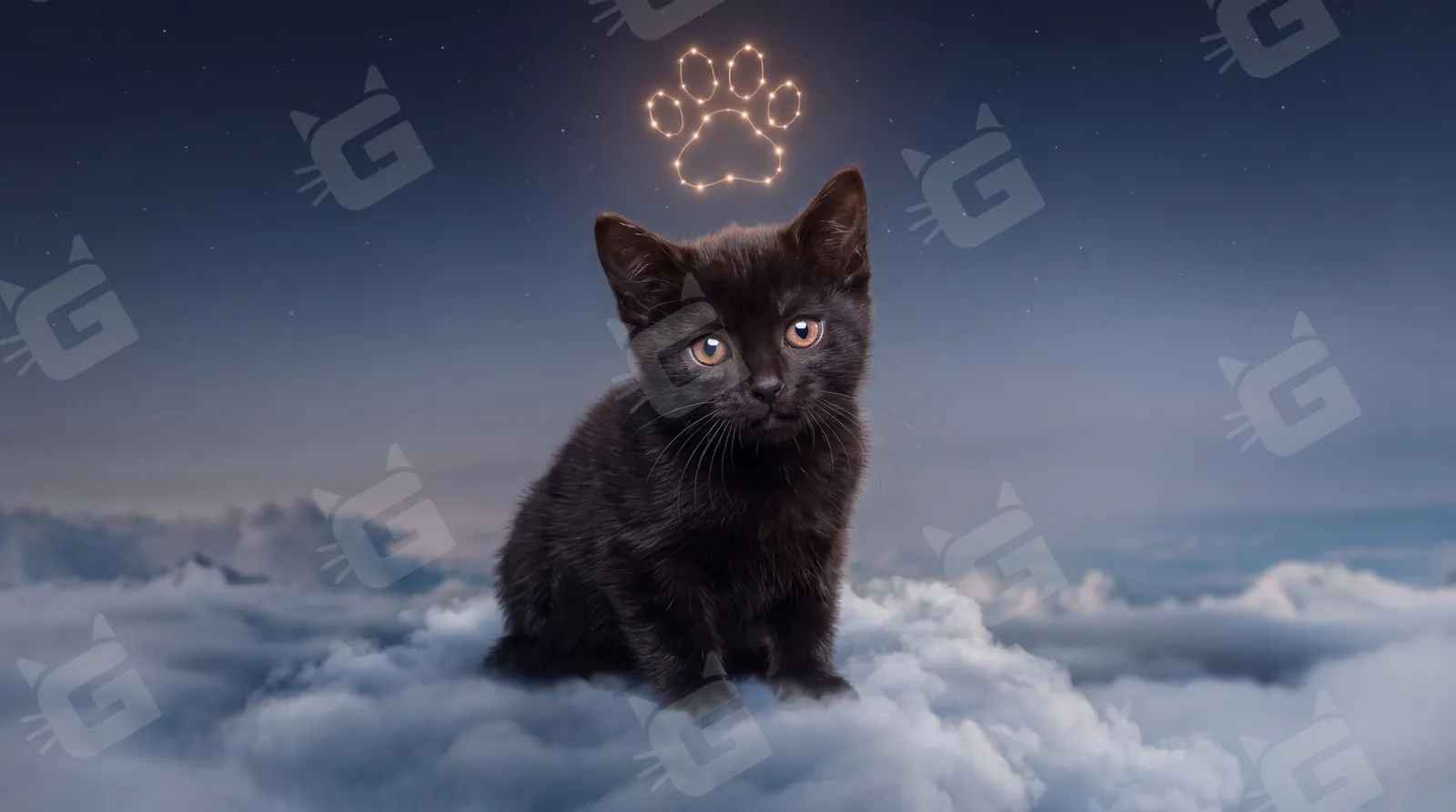Midnight Vigil Black Bombay Kitten Starlit Paw Print